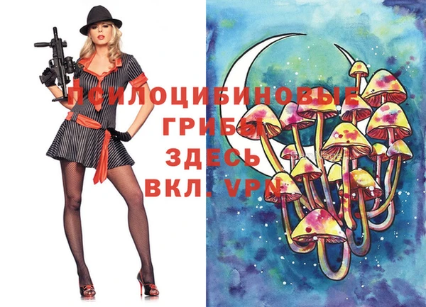 герыч Инта