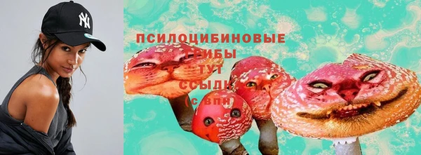 герыч Инта