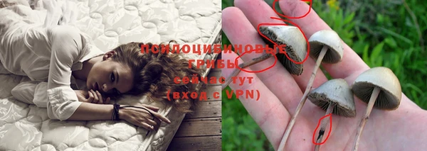 трава Инсар
